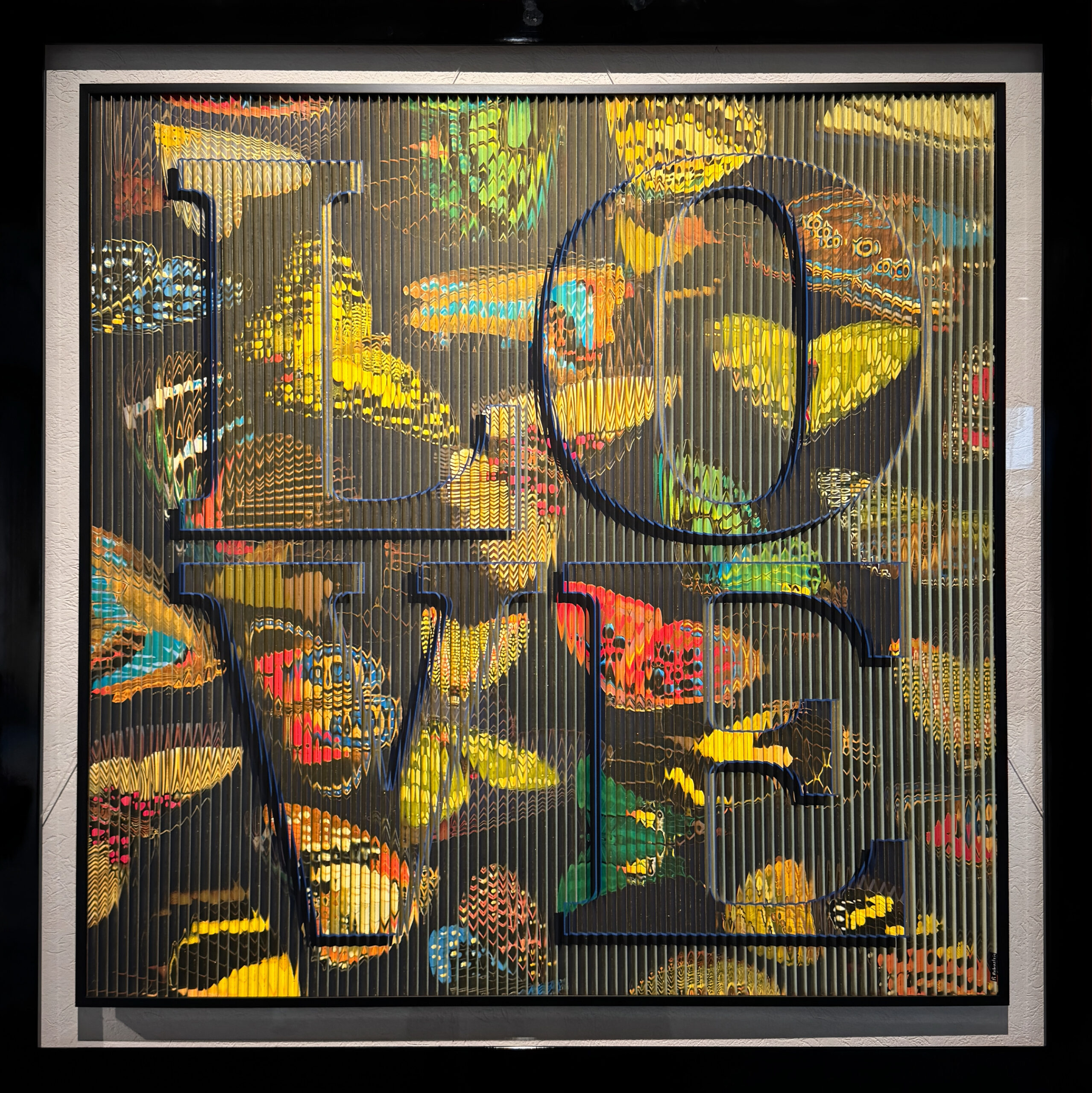 1285838D-4BE1-4E15-BACF-F09F868BD35C 3